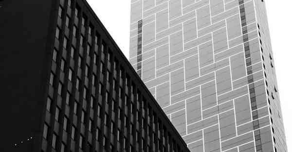 蜜蜂加速器安卓app下载