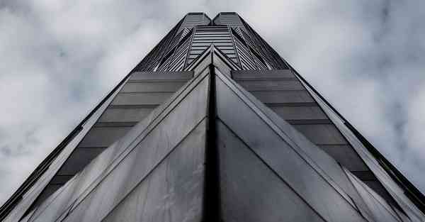 蜜蜂加速器 官网地址